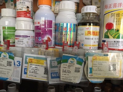 如何拿下10亿元海南芒果农资大市场？聚焦农作物种子经营策略