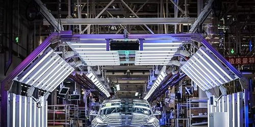 最“南”之年已过，这6款年度车型值得被铭记