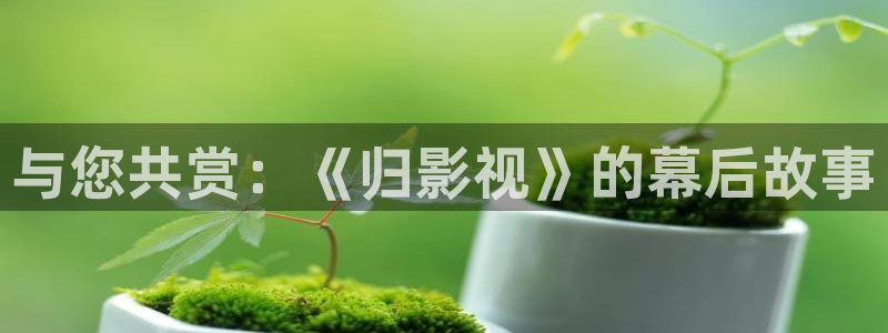 金桔视频大全：与您共赏：《归影视》的幕后故事