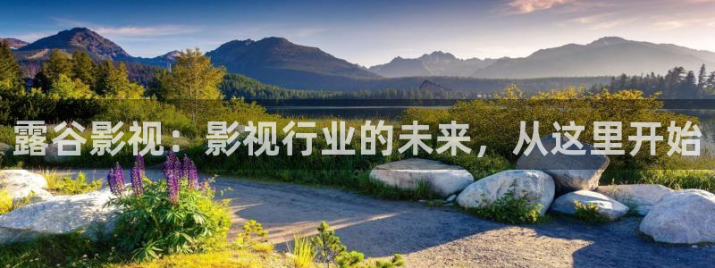 金桔柠檬做法视频：露谷影视：影视行业的未来，从这里开始