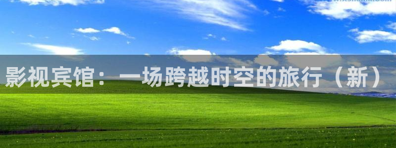 金桔电影网