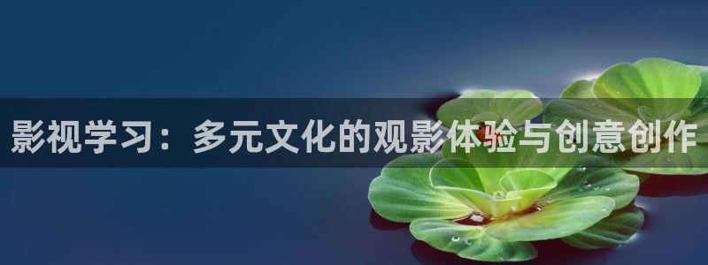 金桔直播免费视频