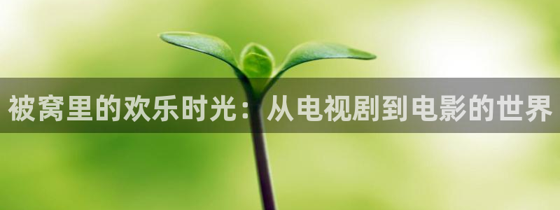 金桔视频app：被窝里的欢乐时光：从电视剧到电影的世界