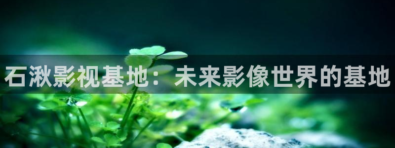 金桔种植视频