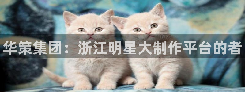 金桔影视下载安装视频