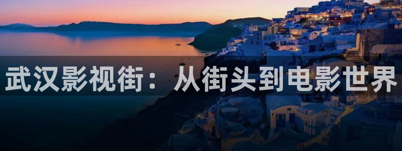 金桔影视哪里下载：武汉影视街：从街头到电影世界