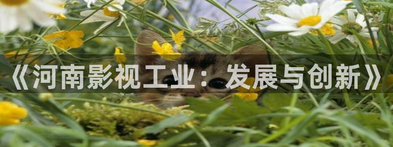 金桔影视哪里下载