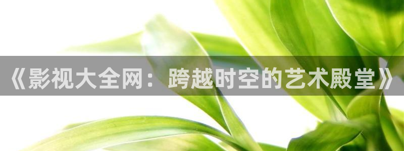 金桔影视下载安装视频